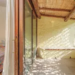 Paradiso Sul Pevero Porto Cervo